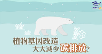 【基因改造】延長植物根部 可舒緩溫室效應？