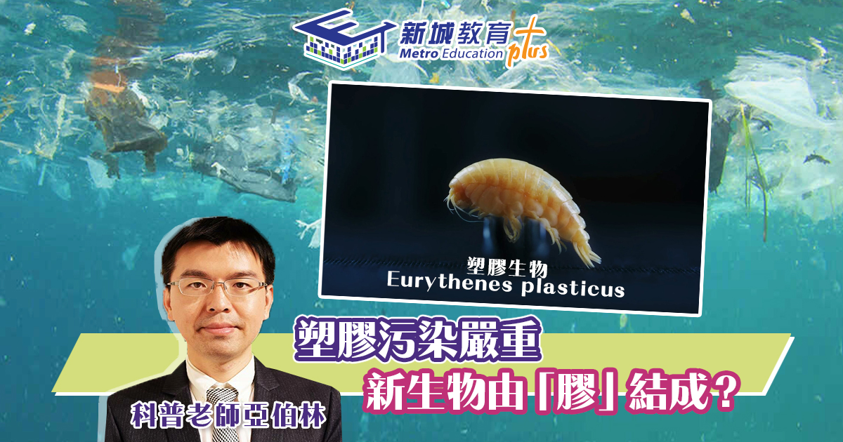 【海洋新物種】塑膠生物「Plastic」驚世現身
