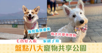【週末親子遊】盤點8大過萬平方米「 寵物共享公園 」毛孩好去處