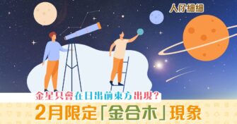 【人仔細細】「 金合木 」天文現象 只有日出前才出現