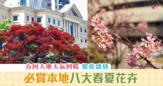 【週末親子遊】8大春夏 賞花 熱點 感受春天氣息