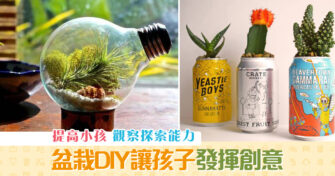 【親子活動】盆栽 DIY 提高小孩觀察探索能力