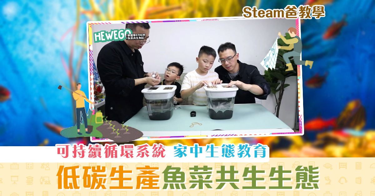 【Steam爸教學｜Hewego】學習低碳生產模式 魚菜共生 生態