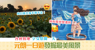 【週末親子遊】 元朗一日遊 ！ 發掘最美風景