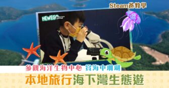 【Steam爸教學｜Hewego】WFF海下灣 生態遊 本地都可以去旅行