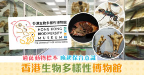【週末親子遊】 香港首個 生物多樣性 博物館 館藏過萬標本！
