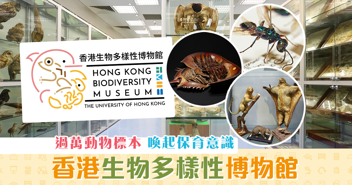 【週末親子遊】 香港首個 生物多樣性 博物館 館藏過萬標本！