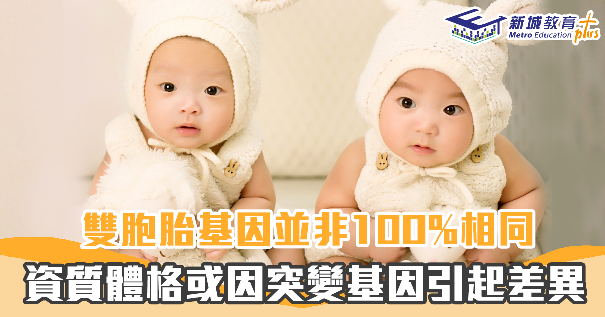 【育兒趣聞】雙胞胎 基因不完全一樣  身體特徵會有差異