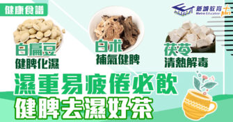 春日食譜｜濕重易疲倦必飲健脾去濕好茶