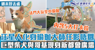週末好去處 ｜汪星人瑜珈大師現身新都會廣場 6月加推心靈工作坊及寵物市集