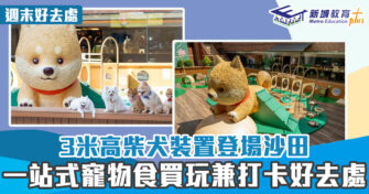 週末好去處 ｜3米高柴犬裝置登場沙田 一站式寵物食買玩兼打卡好去處