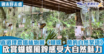 週末好去處 ｜嘉道理農場植物園蝴蝶風鈴裝置 欣賞蝴蝶風鈴感受大自然魅力