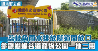 STEM在身邊 ｜參觀雨水排放隧道  蝴蝶谷道寵物公園一地三用