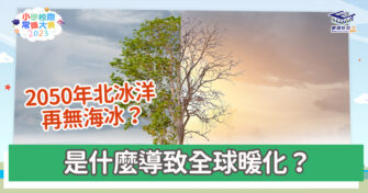 常識小字典｜全球暖化是怎樣造成的？