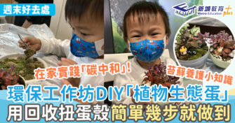 週末好去處 ｜環保工作坊DIY植物生態蛋