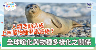 常識小字典｜簡述生命瀕危