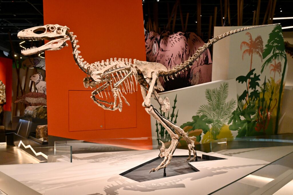 好去處-科學館-展覽-古生物-化石-恐龍滅絕1