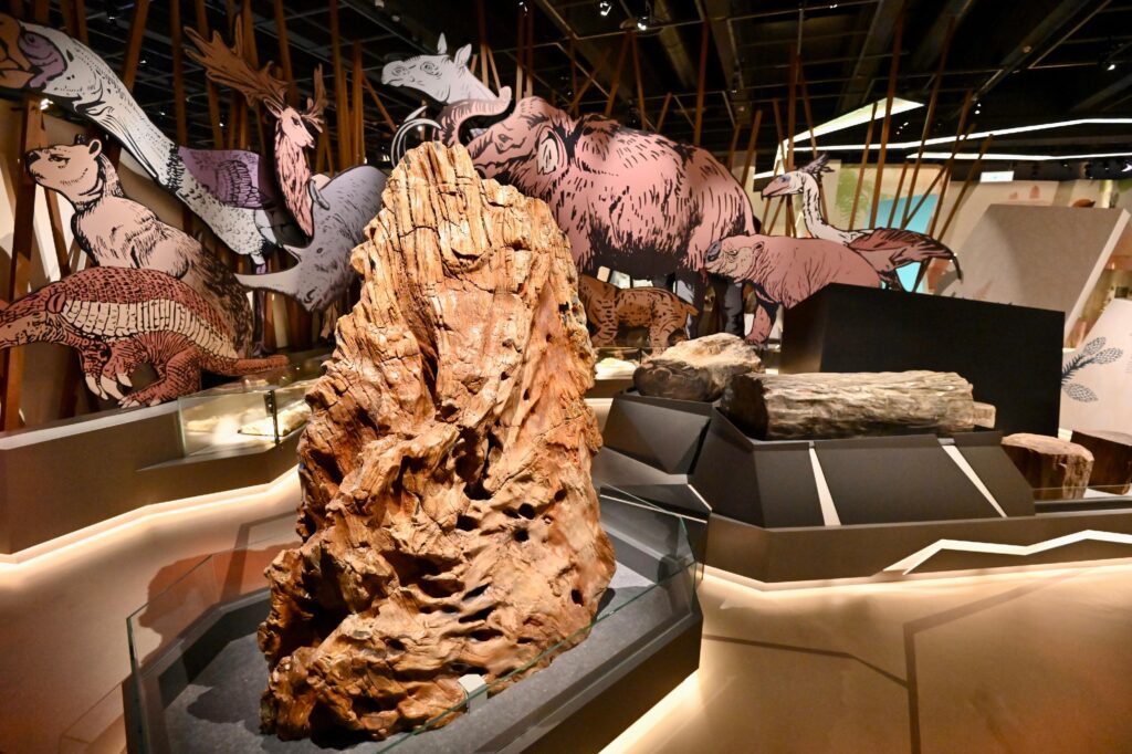 好去處-科學館-展覽-古生物-化石-恐龍滅絕2