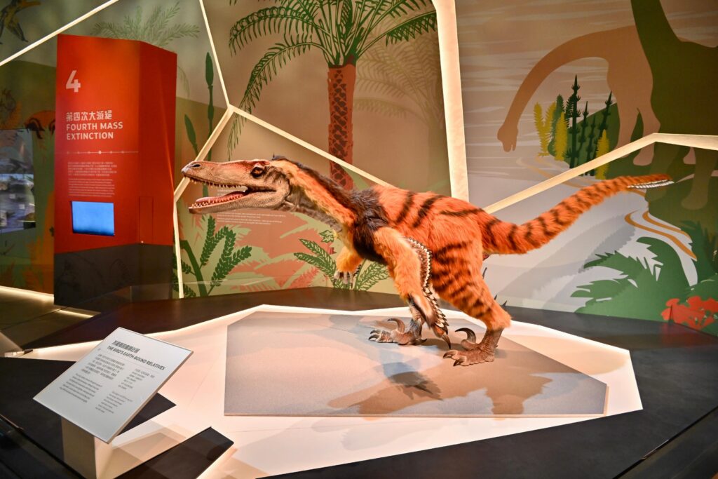 好去處-科學館-展覽-古生物-化石-恐龍滅絕4