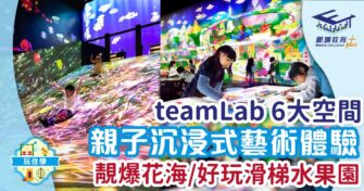 teamLab親子沉浸式藝術體驗 靚爆花海+滑梯水果園+彩繪城鎮